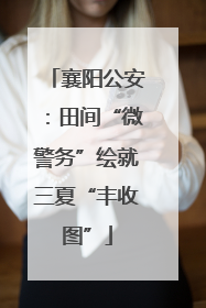 襄阳公安：田间“微警务”绘就三夏“丰收图”