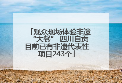 观众现场体验非遗“大餐” 四川自贡目前已有非遗代表性项目243个