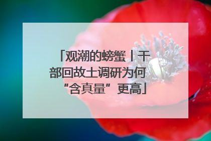 观潮的螃蟹丨干部回故土调研为何“含真量”更高