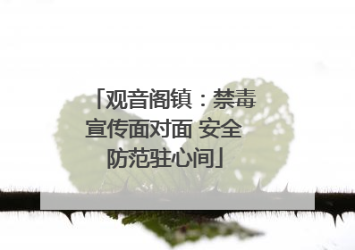观音阁镇：禁毒宣传面对面 安全防范驻心间