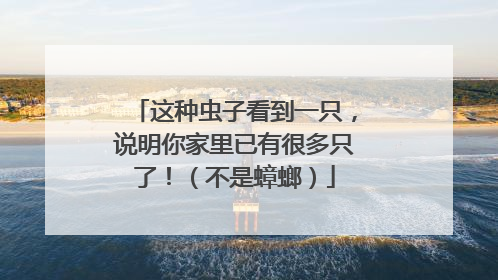这种虫子看到一只，说明你家里已有很多只了！（不是蟑螂）