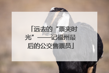 远去的“票夹时光”——记福州最后的公交售票员