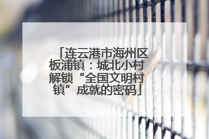 连云港市海州区板浦镇：城北小村解锁“全国文明村镇”成就的密码