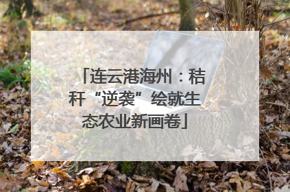 连云港海州：秸秆“逆袭”绘就生态农业新画卷