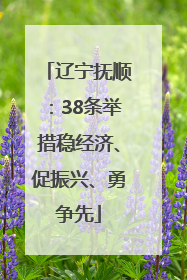 辽宁抚顺：38条举措稳经济、促振兴、勇争先