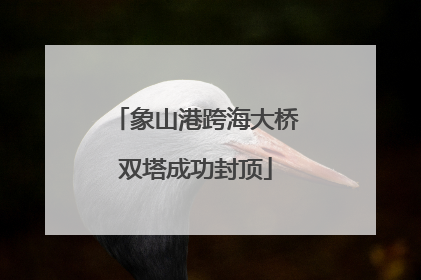 象山港跨海大桥双塔成功封顶