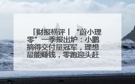 财报横评丨“蔚小理零”一季报出炉：小鹏摘得交付量冠军，理想最能赚钱，零跑迎头赶上，蔚来还在调整