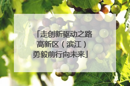 走创新驱动之路 高新区（滨江）勇毅前行向未来