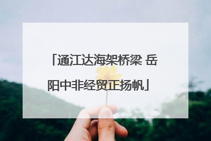 通江达海架桥梁 岳阳中非经贸正扬帆