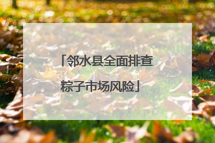 邻水县全面排查粽子市场风险
