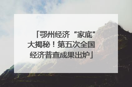 鄂州经济“家底”大揭秘！第五次全国经济普查成果出炉