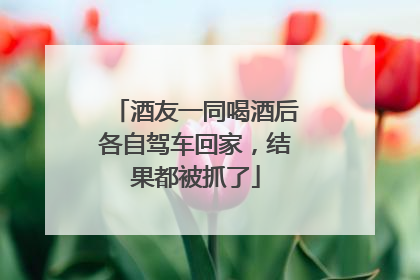 酒友一同喝酒后各自驾车回家，结果都被抓了