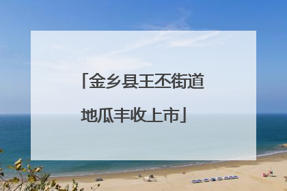 金乡县王丕街道地瓜丰收上市