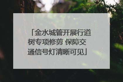 金水城管开展行道树专项修剪 保障交通信号灯清晰可见