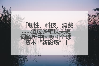 韧性、科技、消费……透过多维度关键词解析中国吸引全球资本“新磁场”