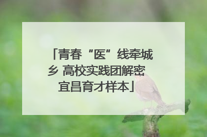 青春“医”线牵城乡 高校实践团解密宜昌育才样本
