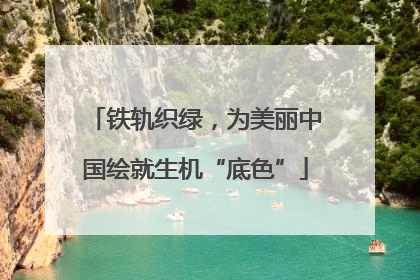 铁轨织绿，为美丽中国绘就生机“底色”