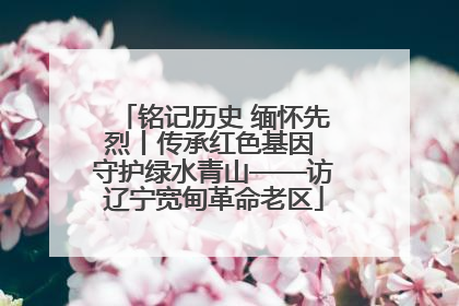 铭记历史 缅怀先烈丨传承红色基因 守护绿水青山——访辽宁宽甸革命老区