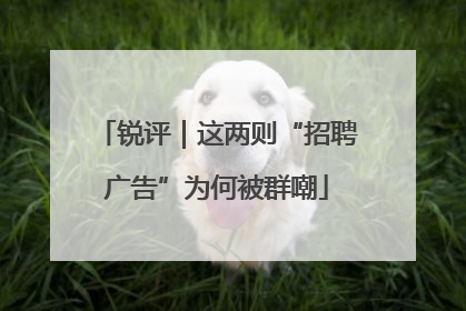 锐评｜这两则“招聘广告”为何被群嘲