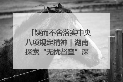 锲而不舍落实中央八项规定精神｜湖南探索“无扰督查”深化基层减负