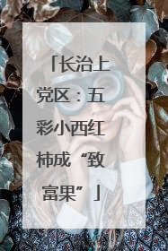 长治上党区：五彩小西红柿成“致富果”