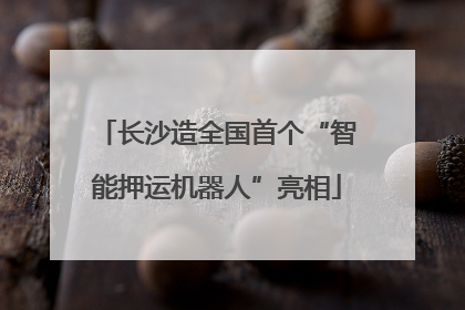 长沙造全国首个“智能押运机器人”亮相