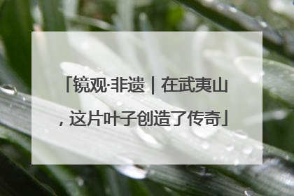 镜观·非遗｜在武夷山，这片叶子创造了传奇