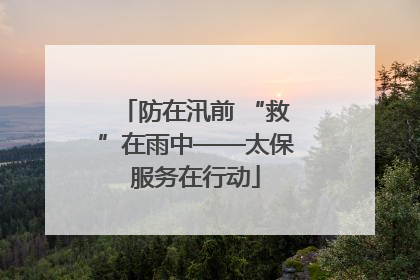 防在汛前 “救”在雨中——太保服务在行动