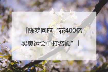 陈梦回应“花400亿买奥运会单打名额”