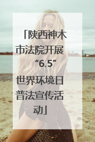 陕西神木市法院开展“6.5”世界环境日普法宣传活动