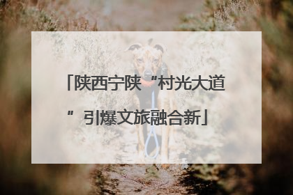 陕西宁陕“村光大道”引爆文旅融合新