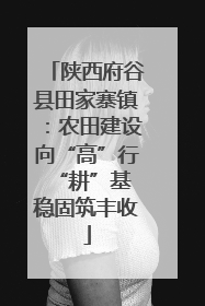 陕西府谷县田家寨镇：农田建设向“高”行 “耕”基稳固筑丰收