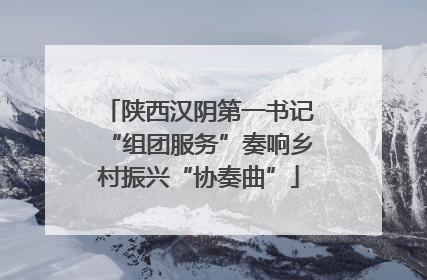 陕西汉阴第一书记“组团服务”奏响乡村振兴“协奏曲”