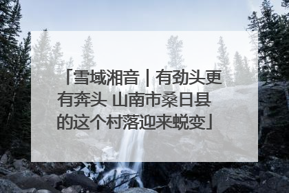 雪域湘音｜有劲头更有奔头 山南市桑日县的这个村落迎来蜕变