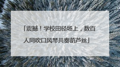 震撼！学校田径场上，数百人同吹口风琴共奏葫芦丝