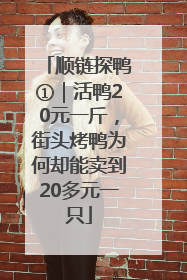 顺链探鸭①｜活鸭20元一斤，街头烤鸭为何却能卖到20多元一只