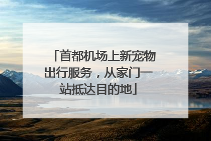 首都机场上新宠物出行服务，从家门一站抵达目的地