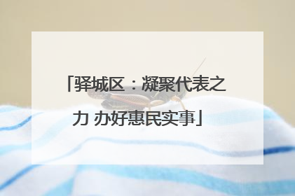 驿城区：凝聚代表之力 办好惠民实事