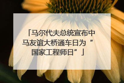 马尔代夫总统宣布中马友谊大桥通车日为“国家工程师日”