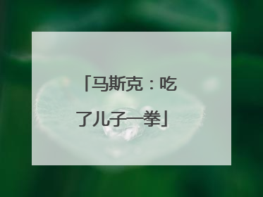 马斯克：吃了儿子一拳