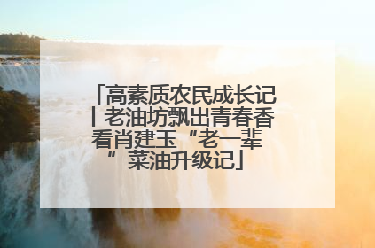 高素质农民成长记丨老油坊飘出青春香 看肖建玉“老一辈”菜油升级记