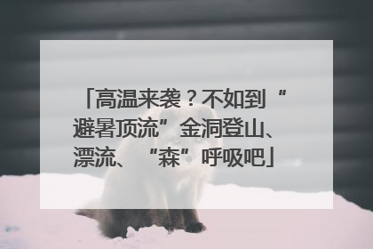高温来袭？不如到“避暑顶流”金洞登山、漂流、“森”呼吸吧