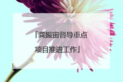 龚振宙督导重点项目推进工作