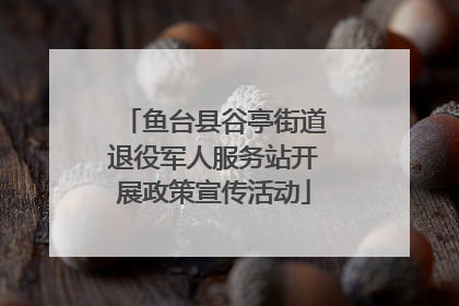 鱼台县谷亭街道退役军人服务站开展政策宣传活动