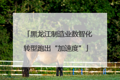 黑龙江制造业数智化转型跑出“加速度”