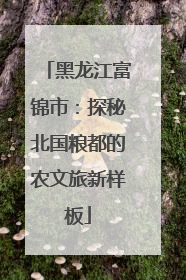 黑龙江富锦市：探秘北国粮都的农文旅新样板