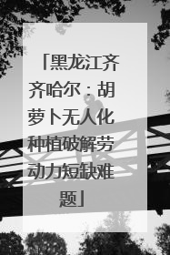 黑龙江齐齐哈尔：胡萝卜无人化种植破解劳动力短缺难题