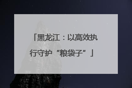 黑龙江：以高效执行守护“粮袋子”