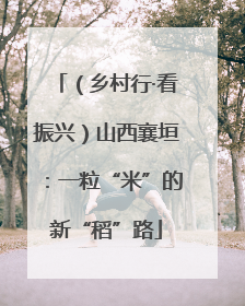 （乡村行·看振兴）山西襄垣：一粒“米”的新“稻”路