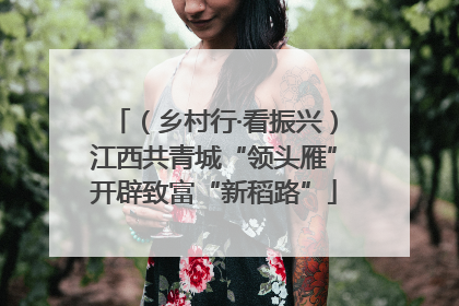 （乡村行·看振兴）江西共青城“领头雁”开辟致富“新稻路”